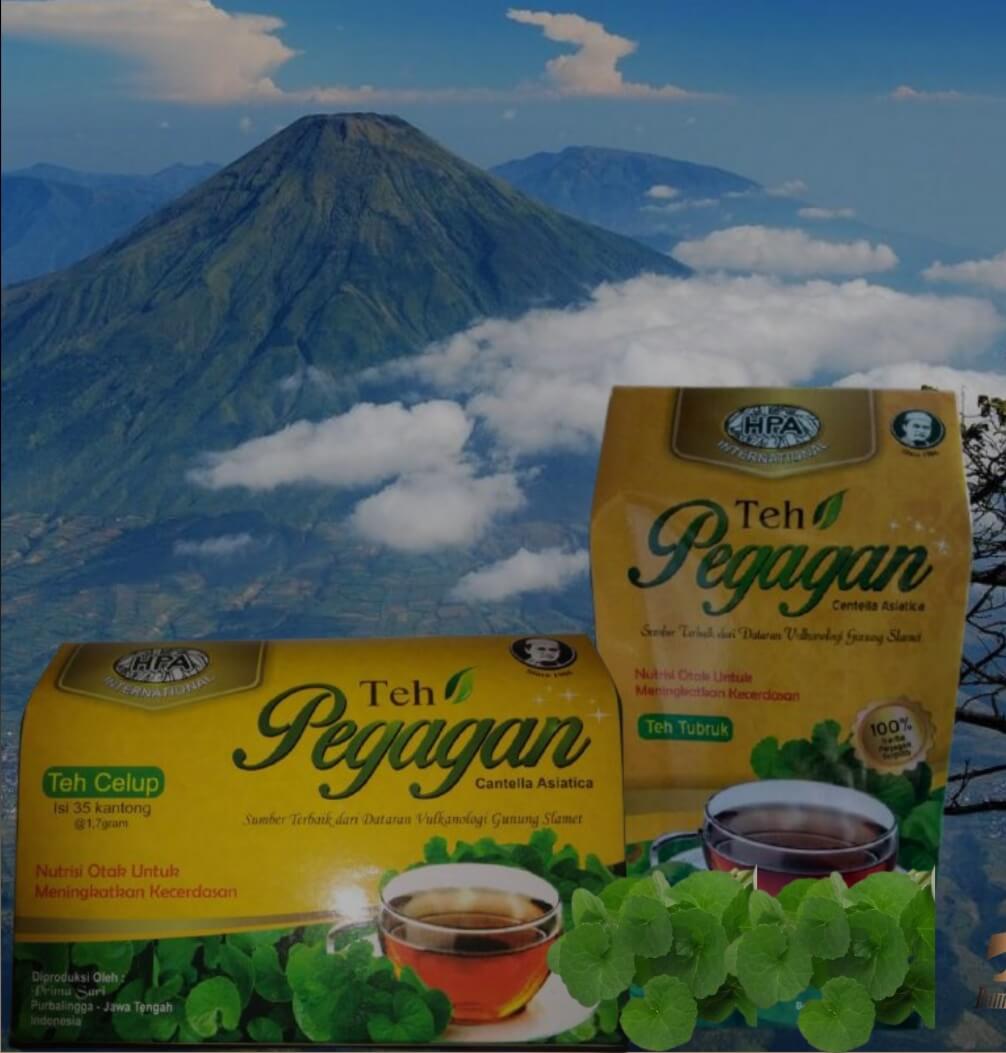 Teh Pegagan 